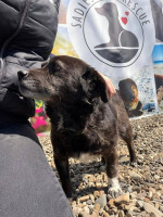 /album/256/665727443-10164338668993827-2745740389647340347-n-jpg/