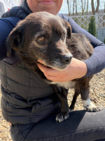 /album/256/667270674-10164338668803827-1004452970558396932-n-jpg/