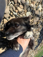 /album/256/663147791-10164338668708827-5382657479671007004-n-jpg/