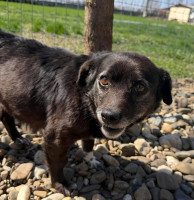 /album/256/662553143-10164338668563827-744305537714879048-n-jpg/