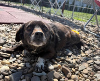 /album/256/668464180-10164338668473827-8594269147584715495-n-jpg/