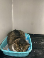 /album/257/402cffb2-39c8-4bff-bf9c-54e410698606-jpeg/