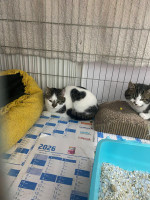 /album/258/34d0f422-6354-4263-b62a-62ce7a41954b-jpeg/