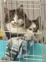 /album/258/ce6699d1-fbd2-4f47-87fa-23f27683bb73-jpeg1/