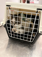 /album/258/ad6a5814-5ee2-490d-9b70-cf63f580734b-jpeg/