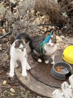 /album/258/cb636a4a-f73d-4015-9328-992e72bfebe8-jpeg/