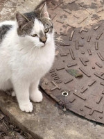 /album/258/daa48d66-1385-447a-b818-f8fbfeb0bf70-jpeg/