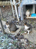 /album/258/d68252c1-e130-48f6-9dda-587829b666b3-jpeg1/