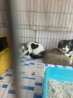 /album/259/10bf1fdc-3c9d-499e-986a-ebfe7e16fad4-jpeg1/