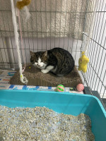 /album/259/70cedb98-8d4b-4b2f-851a-761c5d36c408-jpeg/