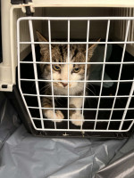 /album/259/de7ed56b-6a68-4914-86ab-7d78e35ab56d-jpeg/