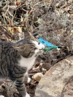 /album/259/5295f556-8e7f-4911-bc98-59a17cc33891-jpeg/