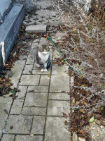 /album/259/e813430e-da77-40eb-b081-b2b1c0f80795-jpeg/