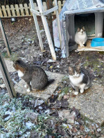 /album/259/f67fd4f9-5aca-4c40-94e0-6189275693f1-jpeg/