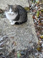 /album/259/70fbae80-6ffe-4f6b-83bb-17bd29c493f7-jpeg/