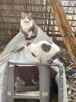 /album/259/e762298d-2f5b-46c5-890d-897abf36ef22-jpeg2/