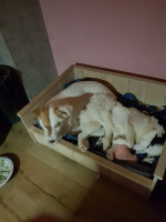 /album/10-04-20261/572d58f3-fedc-4373-9f95-8c1573e99814-jpeg/