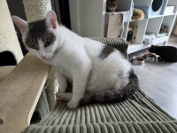 /album/262/b21cd50a-781d-454d-971a-93efa5fec3a6-jpeg/