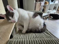 /album/262/3bcfc58b-221b-4a84-bdd5-df89b94a0ef9-jpeg/