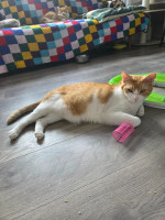 /album/263/7b21e8cf-de39-4a17-9bef-3521e26e6383-jpeg/