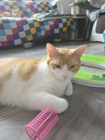 /album/263/e4d33afb-5c99-4e81-8783-b371c8b153a6-jpeg/