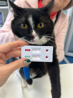 /album/264/643739880-10240761088348308-1809161718566876836-n-jpg/