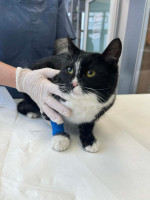 /album/264/643520791-10240761087948298-5379979316171386861-n-jpg/