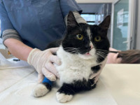 /album/264/643721633-10240761088028300-6318353243309741214-n-jpg/