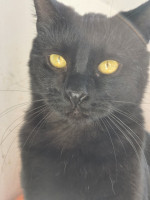 /album/266/65fc2ed9-e449-4880-a590-4a2924802bda-jpeg/