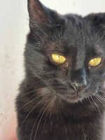 /album/266/c3d372f4-5656-4ab7-854f-e2a1b1b0490d-jpeg/