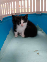 /album/266/9bb3902d-9e66-4df1-975f-babff80b0689-jpeg/