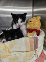 /album/266/028aa857-5d6a-448a-b6ec-a32c500f37aa-jpeg/