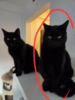 /album/266/3b87b3cb-35a1-4a7f-8ea6-7fe0c745bd66-jpeg/