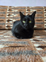 /album/266/159d959e-bf9a-46ce-9783-dc906d37b0da-jpeg/