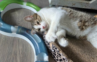 /album/267/e5f332f8-70e9-40fc-9e1d-8317b063b0ce-jpeg/