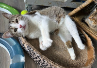 /album/267/d92e1c87-379d-4d72-a12f-8e2f2f772e6c-jpeg/