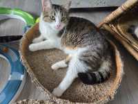 /album/267/61899e65-5c6b-456b-b682-d13848e0cb7e-jpeg/