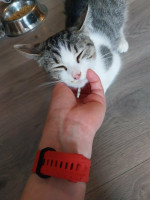 /album/267/c7a417f0-c209-457e-808f-f5ee0249406d-jpeg/