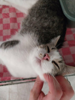 /album/267/b7139ff6-eb65-4e43-bd77-228dedda39b6-jpeg/