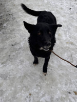 /album/18/629306119-1325086616317341-2357608207880596440-n-jpg/