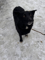 /album/18/629335517-1325086266317376-1934077635424330980-n-jpg/