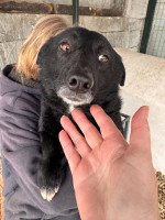 /album/18/629324983-1325086336317369-4079409515074318466-n-jpg/