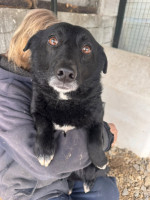 /album/18/629319716-1325086346317368-7646918464940282585-n-jpg/