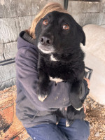 /album/18/628454183-1325086659650670-1609779889117500268-n-jpg/