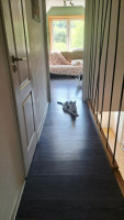 /album/05-05-20261/e458e79d-8f09-4bce-8931-f2a65a7dc68c-jpeg/