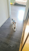 /album/05-05-20261/0f0a18a6-f69d-43c3-a91f-d5dae304262e-jpeg/