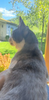 /album/05-05-20262/b70687ed-7df7-46c1-b761-4662af468669-jpeg/