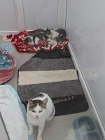 /album/51/49cc759d-12cf-4a43-bf12-8e56cf368a77-jpeg/