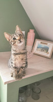 /album/26-07-2026/253f7795-2ec8-4a98-bf71-8597448e63ca-jpeg/