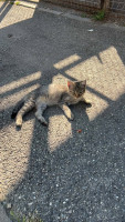 /album/62/760654741-28492168077057735-7920465458941965209-n-jpg/